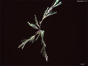 reagent thumbnail 10