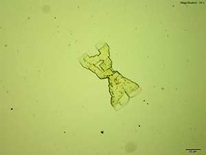 4-Methylbuphedrone 2