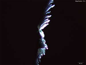 Thumbnail: reagent 3