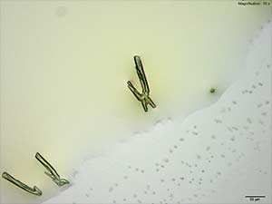 Thumbnail: reagent 2