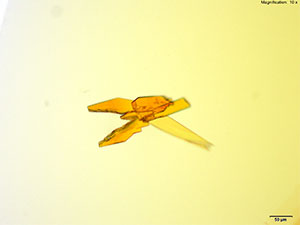 Thumbnail: reagent 6