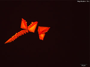 reagent thumbnail 11