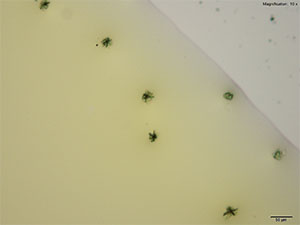 reagent thumbnail 14