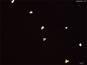 reagent thumbnail 16