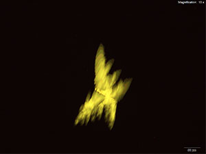 reagent thumbnail 19