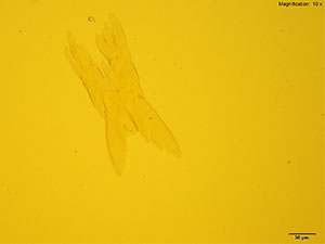 reagent thumbnail 18