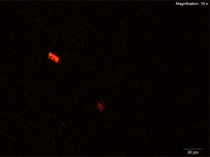 Butylone thumbnail 2