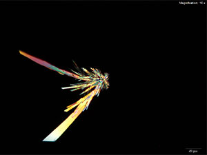 Butylone thumbnail 4