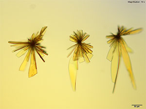 Butylone thumbnail 5