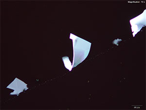 reagent thumbnail 12