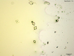 reagent thumbnail 11