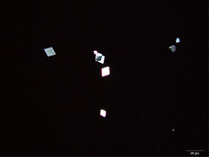 reagent thumbnail 13