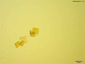 reagent thumbnail 15