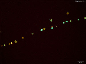 reagent thumbnail 16