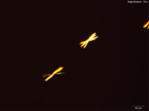 reagent thumbnail 10