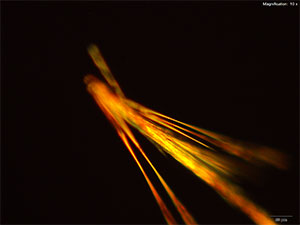 reagent thumbnail 10