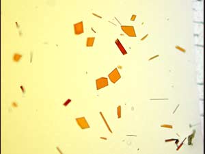 reagent thumbnail 11