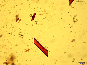 crystal thumbnail 12