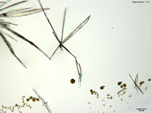 reagent thumbnail 11