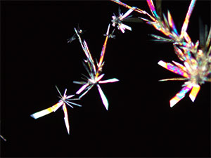 reagent thumbnail 14