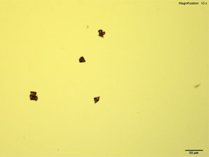 reagent thumbnail 15