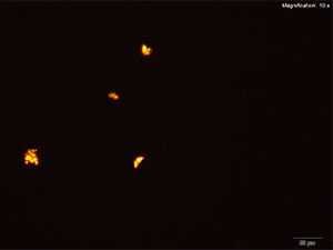 reagent thumbnail 16