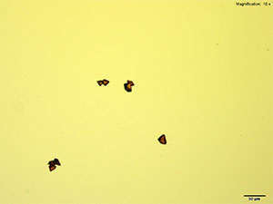 reagent thumbnail 17