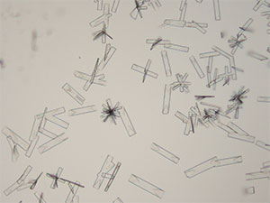 reagent thumbnail 18