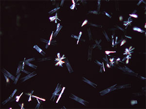 reagent thumbnail 19