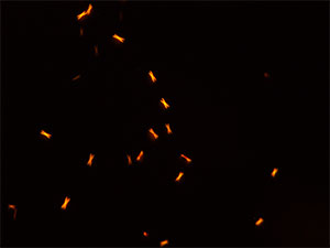 Methcathinone Gold Bromide reagent 4 thumbnail