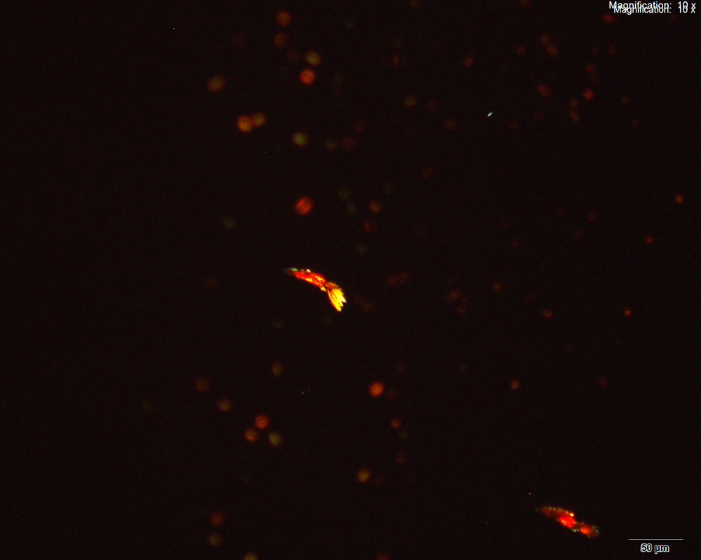 Methcathinone Platinic Bromide reagent 4