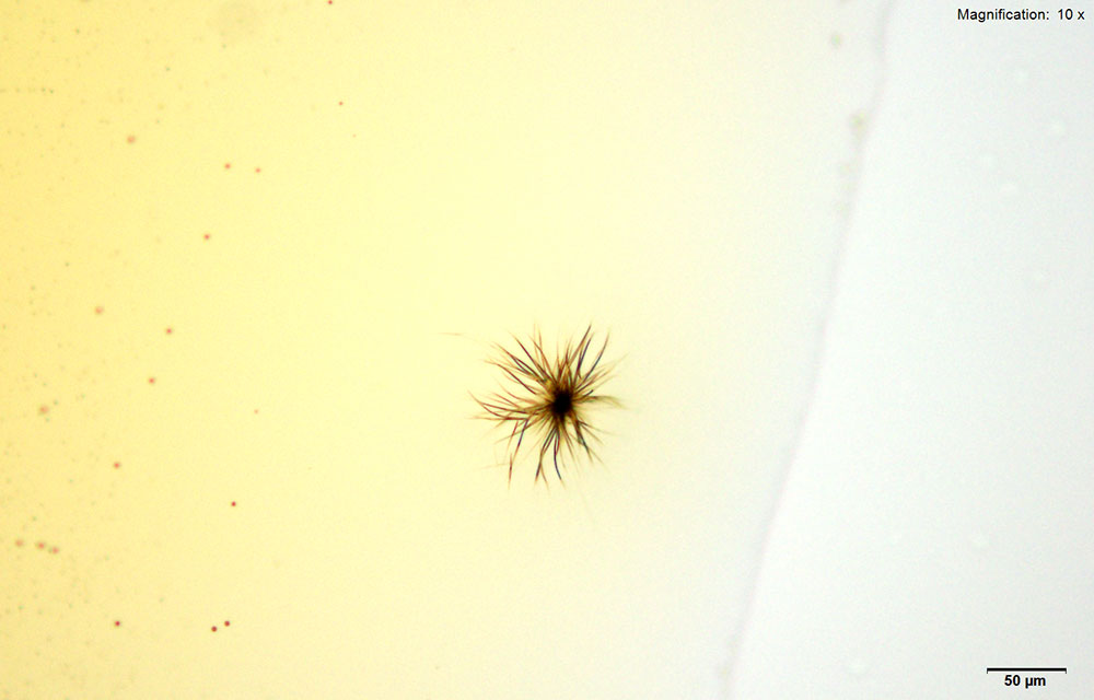 Gold Bromide reagent 1