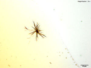 Gold Bromide reagent 2 thumbnail