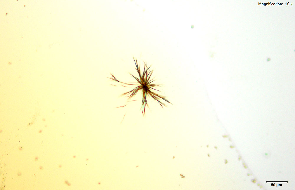 Gold Bromide reagent 2