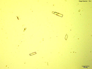 Platinic Chloride reagent 1 thumbnail