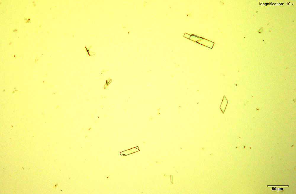 Platinic Chloride reagent 1