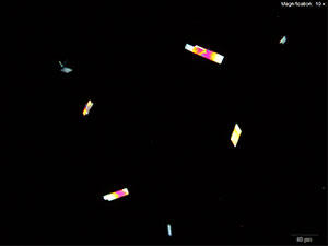 Platinic Chloride reagent 3 thumbnail