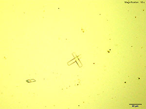 Platinic Chloride reagent 2 thumbnail