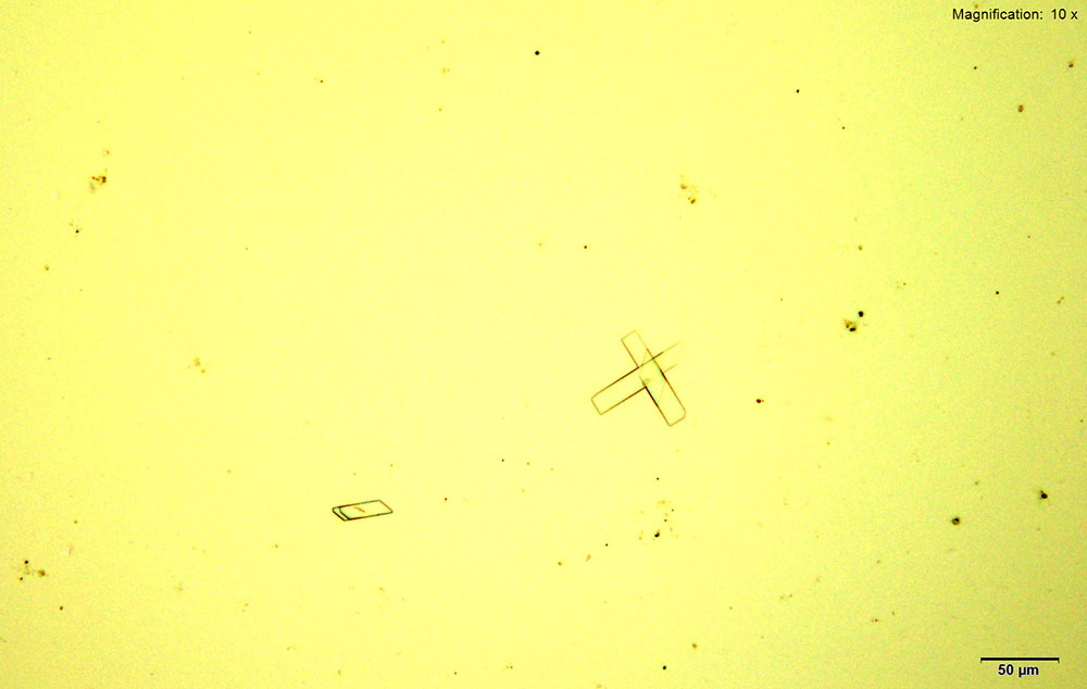 Platinic Chloride reagent 2