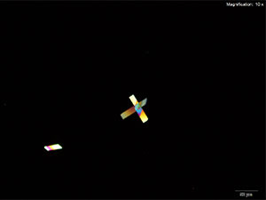 Platinic Chloride reagent 4 thumbnail