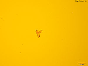 Platinic Bromide reagent 1 thumbnail