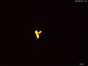 Platinic Bromide reagent 3 thumbnail