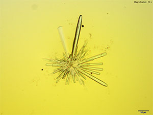 reagent image 2 thumbnail