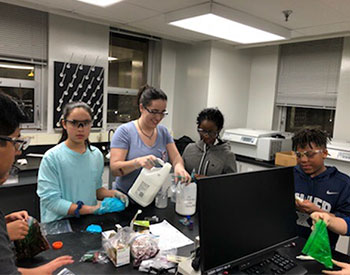 Students in Chemistry lab