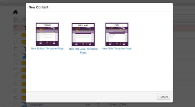 window showing the template options